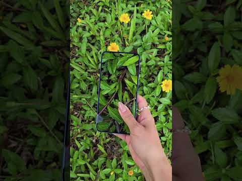 This is fantastic! #SamsungS25Plus #Samsung #MobilePhone #DigitalTechnology thumbnail