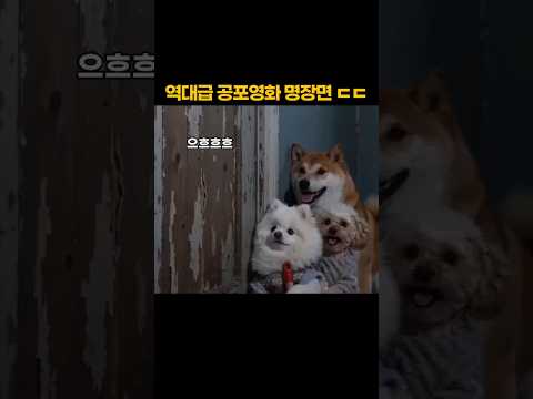 역대급 공포영화 명장면 ㄷㄷ thumbnail