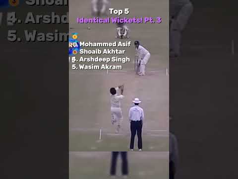 Top 5 Identical Wickets! Pt.  3 thumbnail