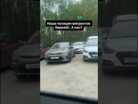 Кто следил за мусульманами? thumbnail
