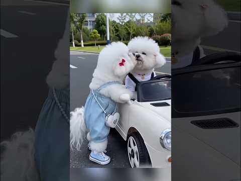 Hun cái mà bẩn hết cả miệng rồi thumbnail