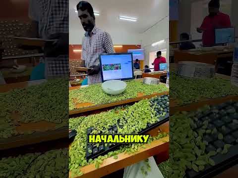 Зачем в офисе каждые 10 минут раздают фисташки!? 😳 thumbnail
