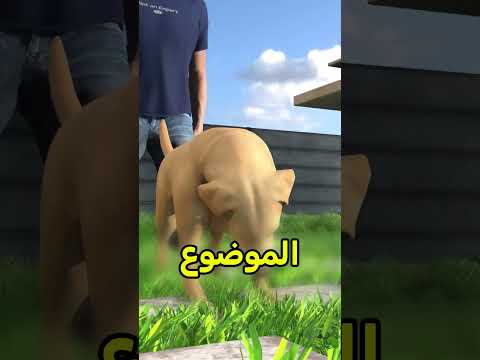 كذا تنقذ كلبك من الإختناق 🤯 #shortvideos thumbnail