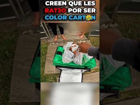 Desconfiaron por que soy Color Carton? #motovlog #viral thumbnail