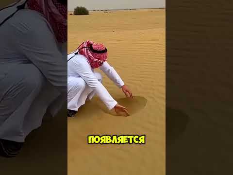 Нашёл нефть — и потерял землю!? thumbnail