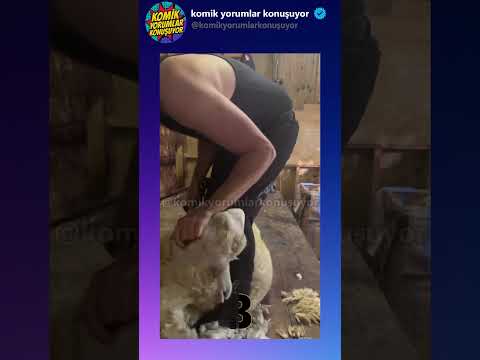 @Budublaj Kurban Bayramınız Mübarek Olsun! #shortvideo #komikyorumlar #komikvideolar #shorts thumbnail
