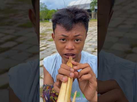 minta bagi seruling kicau mania thumbnail