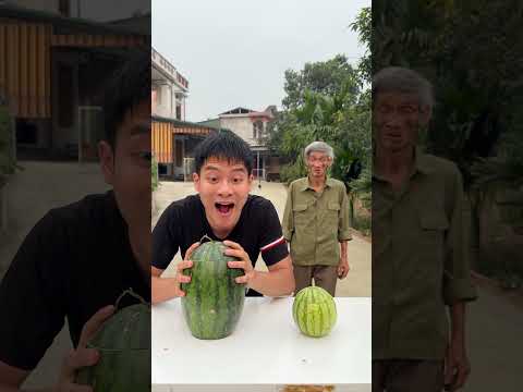 Chàng trai đã chọn quả dưa hấu to hơn và một món quà bất ngờ to đùng.Tham thì THÂM… 🍉💔 #shorts thumbnail