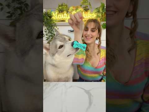 Come CREARE delle MEDAGLIETTE per CANI in CASA 😍🐶🐾 #cane #cani #dog #dogs #creative thumbnail