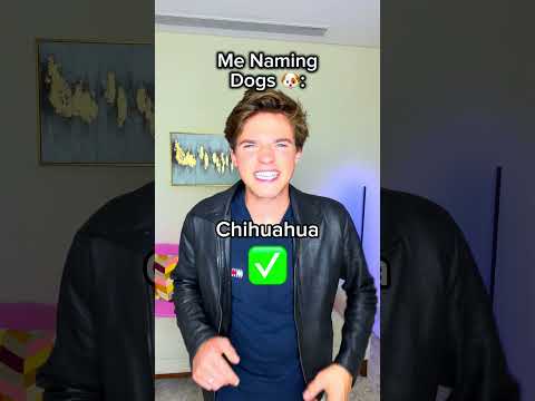 Naming Animals 🤣 thumbnail