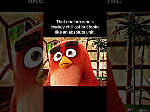 why he always looks so angry? ?? #angrybirds #terence thumbnail
