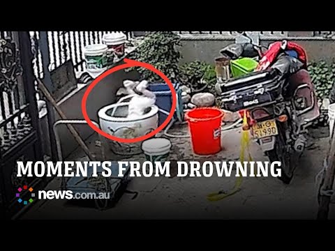 Toddler almost drowns after toppling head-first into water-filled pot thumbnail