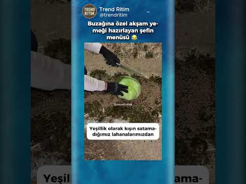 İneğine Özel Akşam Yemeği Hazırlayan Şef 🤣😄 thumbnail