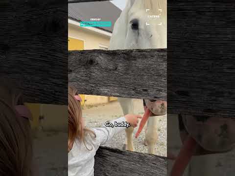 Tiny Little Horse Whisperer #horse #horses thumbnail