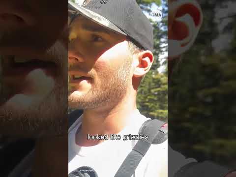 Hikers speak out after grizzly bear encounter caught on camera thumbnail