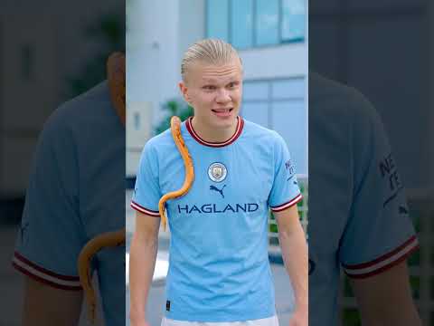 Dogs vs. Cats | Which Pet Will Win? #football #haaland #messi #ronaldo thumbnail
