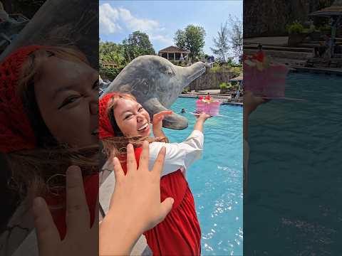 bawang merah kasih kueh ulang tahun buat lumba lumba #trendingshorts thumbnail