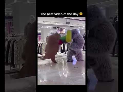 The way he just folded like a cheap suit, I'm actually crying ? Subscribe! #shorts thumbnail