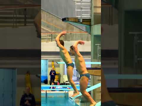 Diving thumbnail