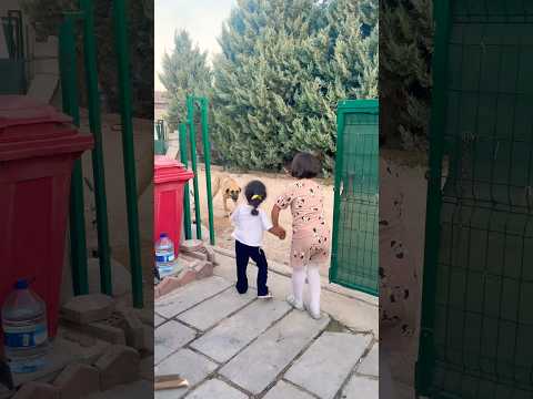 Kapının önünde kocaman köpek var çıkmayın dışarı😂 #aboneolmayiunutmayin #keşfetbeniöneçıkar #funny thumbnail