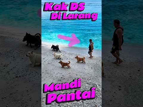 Kak DS di Larang mandi Pantai #comedy #minivlog #anakdesa #pantai #dog thumbnail