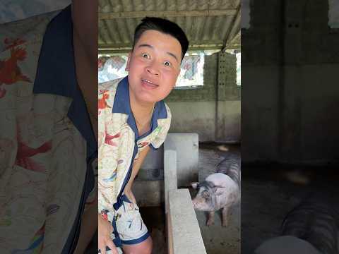 Đi tắm đi #funny #comedy thumbnail