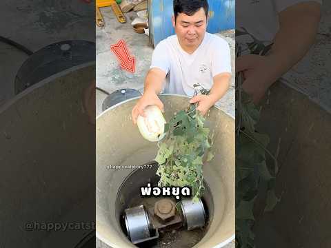 พ่อ เอาผักในตู้เย็นมาทำลายทำไม thumbnail