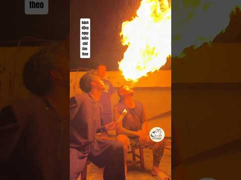 3 anh tài hóa rồng #entertainment #funny thumbnail