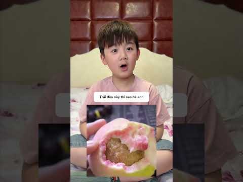 MẤY TRÁI ĐÀO NÀY CÓ ĂN ĐƯỢC KHÔNG? thumbnail