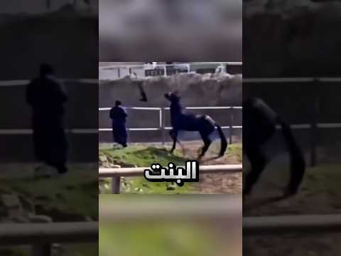 طار حجاب البنت بسبب الريح فسوى الحصان هيك !! #youtubeshorts thumbnail