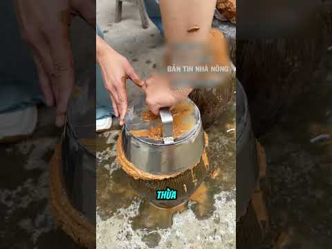 Cách cô gái dùng bùn khóa hũ rượu thumbnail