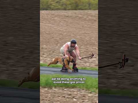 This dog took him for a TOP SPEED ride thumbnail