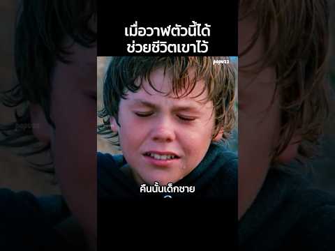 เมื่อวาฬตัวนี้ได้ช่วยชีวิตเขาไว้ #Shorts #สปอยหนัง #หนัง #สปอย #ดูหนัง #หนังสนุก #หนังเก่า thumbnail