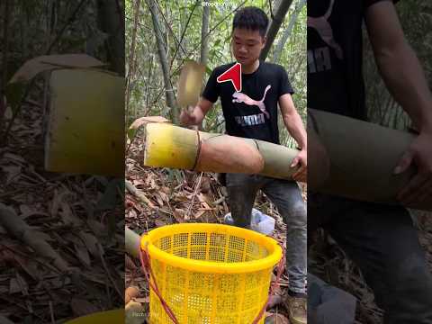 Farmer’s Amazing Jungle Food Cutting Skill 😲🌿 #shots #facts thumbnail