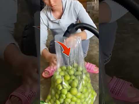 🥝 Как вакуум сохраняет фрукты месяцами! #животные #природа #еда thumbnail