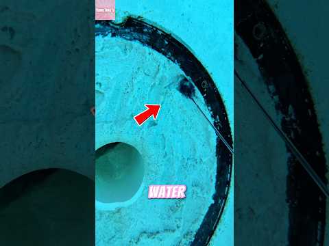 Air Kolam Terus Hilang, Solusi Pria Ini Bikin Tukang Kaget! thumbnail