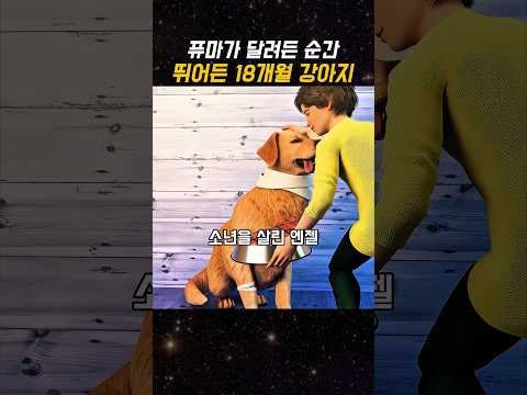 퓨마가 달려든 순간 뛰어든 18개월 강아지 thumbnail
