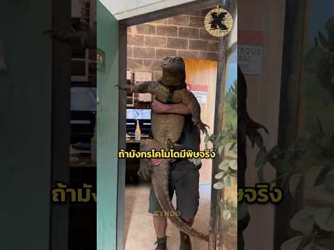 ทำไมยังไม่มีเซรุ่มถอนพิษ thumbnail