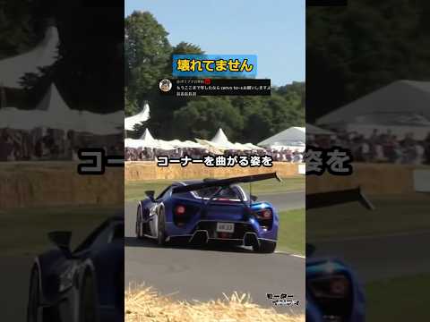 壊れてるわけじゃないんです。世界で唯一「ウィングが左右に踊る」ゼンヴォの狂気 thumbnail