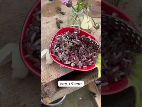 Món quà bí ẩn tôi nhặt được trên bãi rác bỏ đi thumbnail