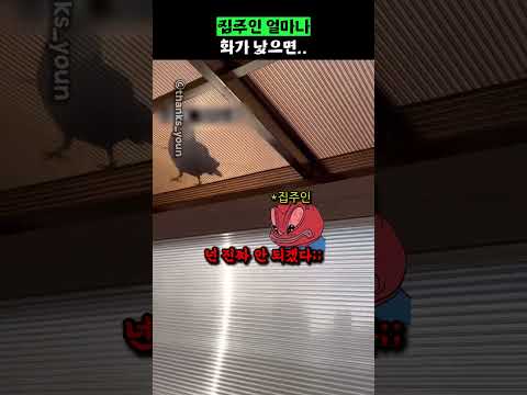 집주인 얼마나 화가 났으면.. thumbnail