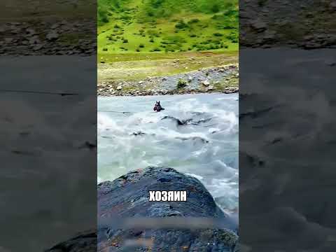 Обычный канат чуть не стоил ЖИЗНИ🐎💔🌊 thumbnail