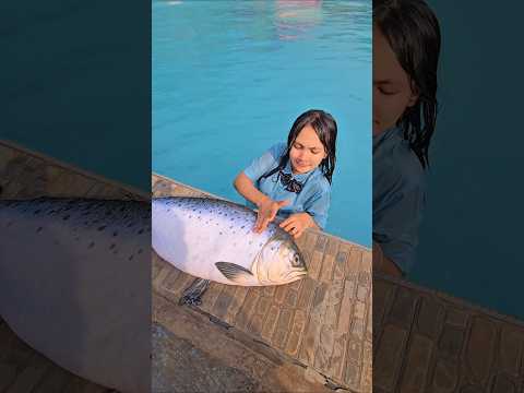 kk besihin ikan di kolem renang #trandingshorts thumbnail