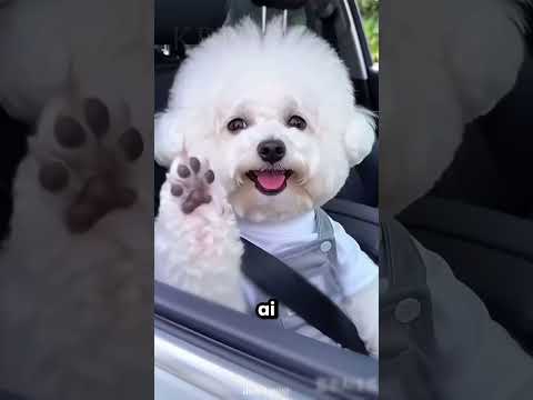 Minha esposa tem um hálito muito ruim 🤮😂 thumbnail