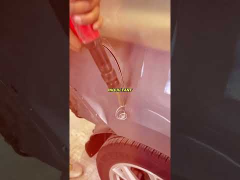 Il croyait qu’un animal était coincé dans sa voiture thumbnail
