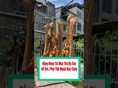 Nắng nóng tới mức thả đá vào hồ bơi, phơi thịt ngoài ban công #shorts  #tintuc24h thumbnail