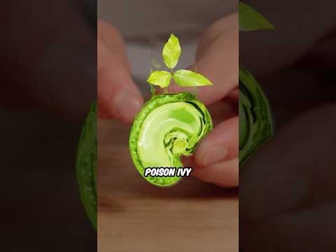 Cashew Fruit thumbnail