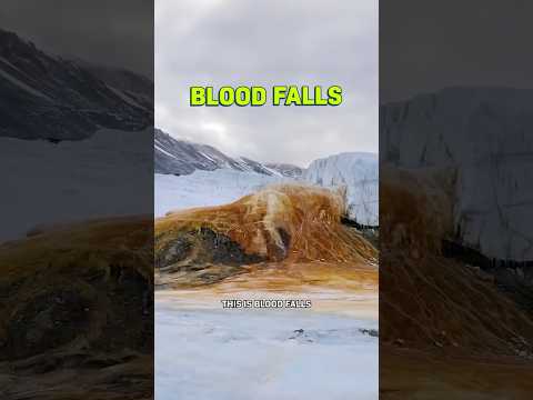 This Glacier Is Bleeding? thumbnail