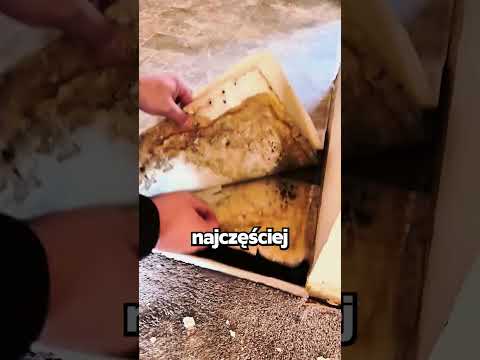 Zrób To OD RAZU Po Zakupie Domu! 😱🏠 thumbnail