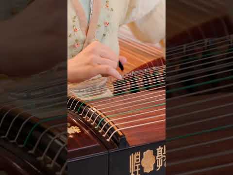 Pachelbel Canon in D Major - Guzheng Cover (Shorts Ver.)  | Moyun Official thumbnail